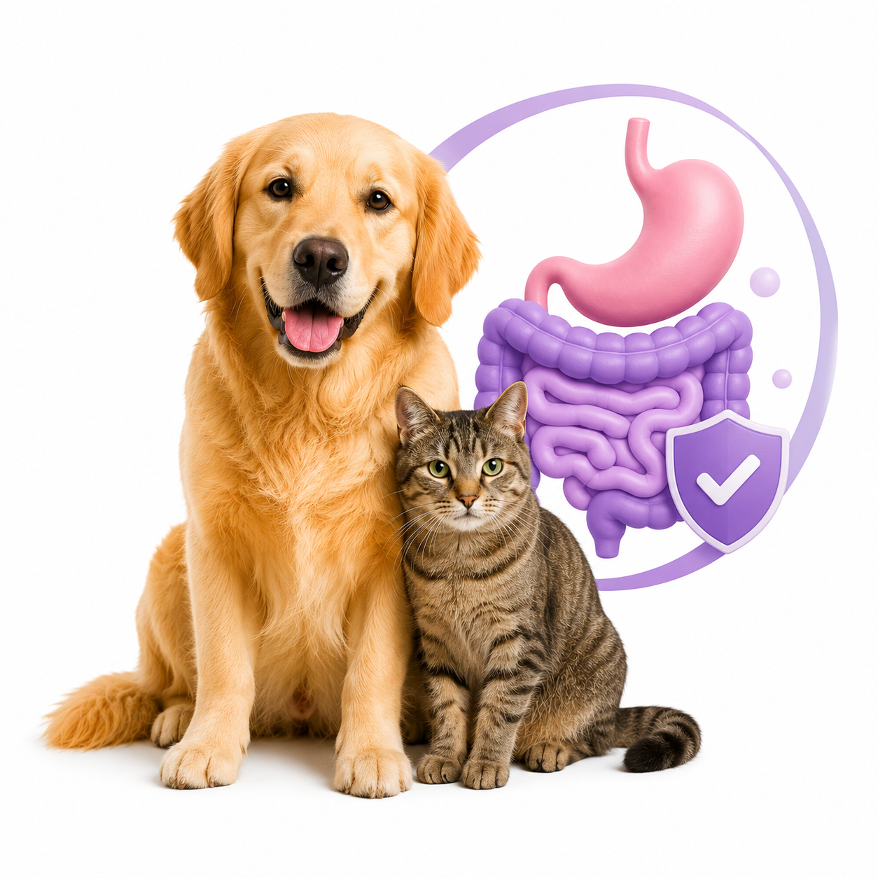 gastro-digestive-care